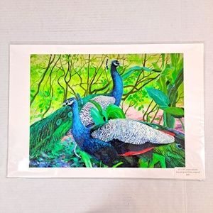 Custom Fine Art Peacock Print From Original Signed 11" x 15"